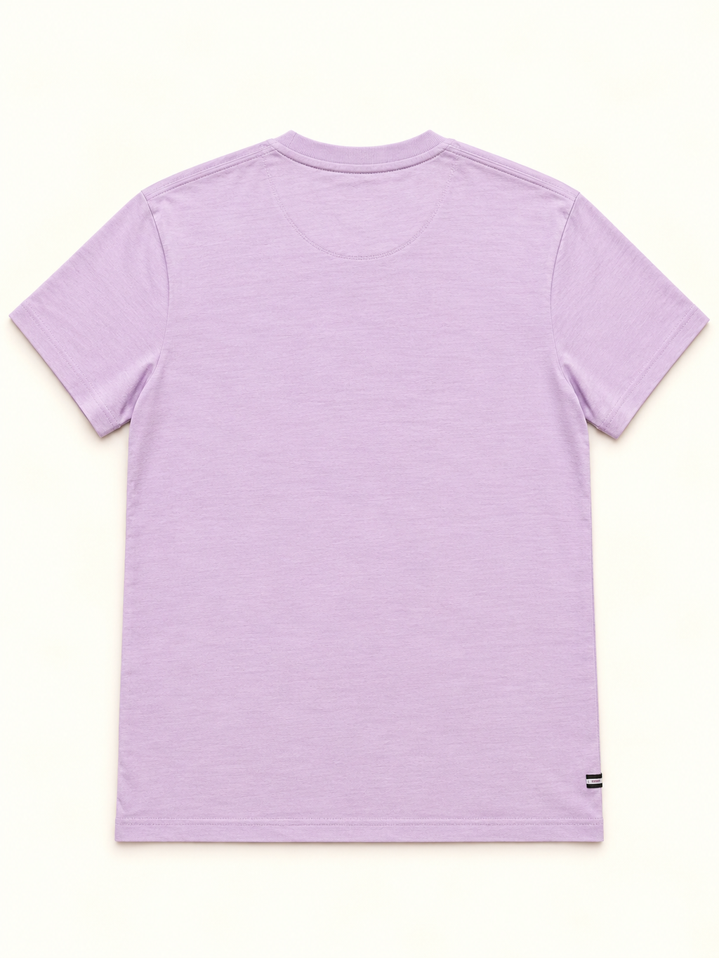 Weekend Offender Men’s Admit Nothing T-Shirt – Lilac – XS