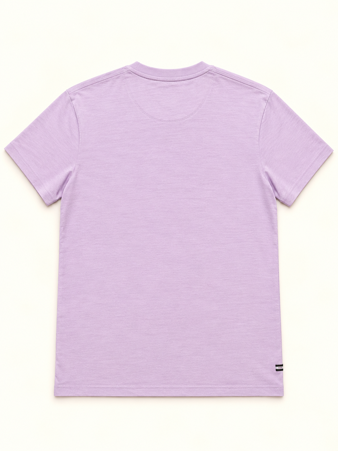 Weekend Offender Men’s Admit Nothing T-Shirt – Lilac – XS