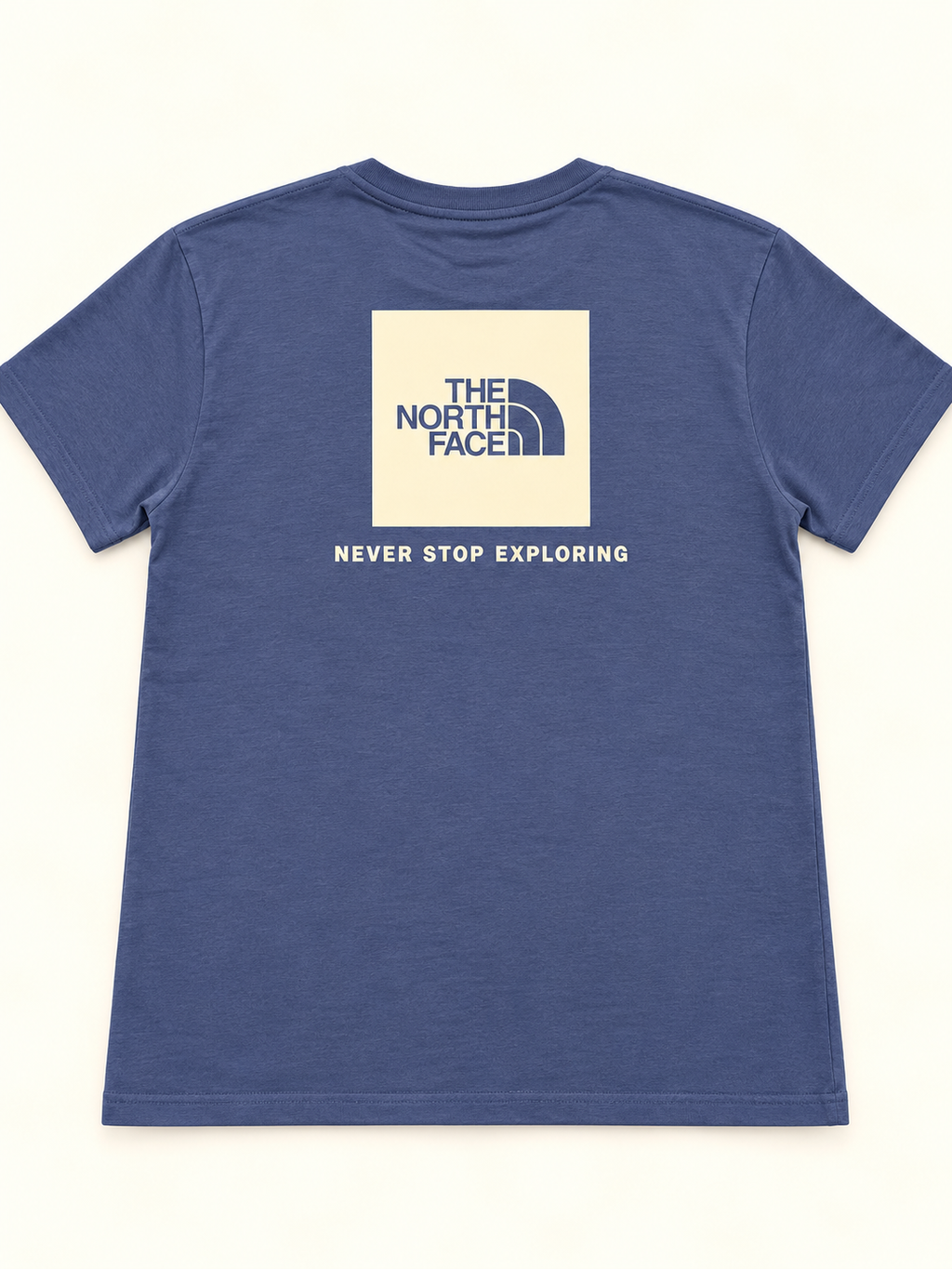 The North Face Simple Dome Tee – Shady Blue | Men's S, M & L